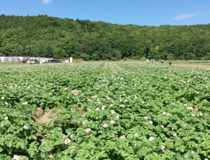 農地所有適格法人 株式会社つしまファーム