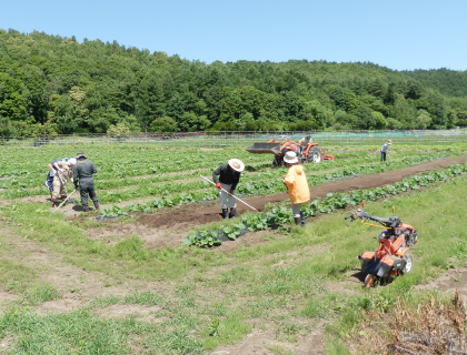 Tsushima Farm